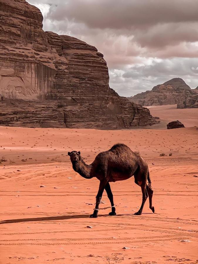 Rum Paradise Luxuri Camp Wadi Rum Esterno foto